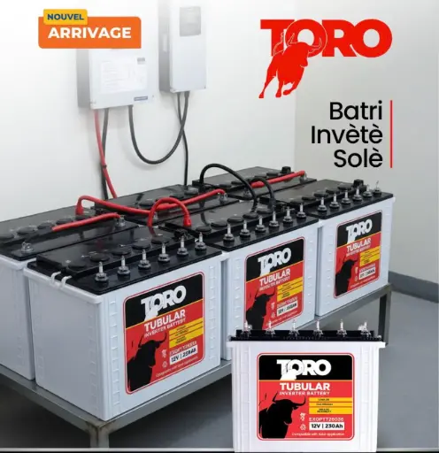 Tall Tubular Battrie 12v 230 AH Toro